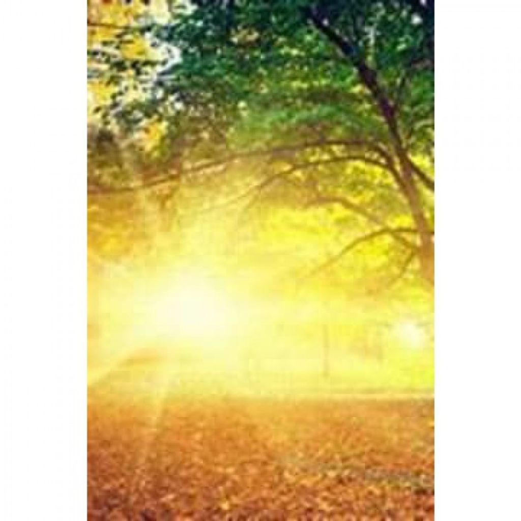 Anthony Richard Medina Profile Photo