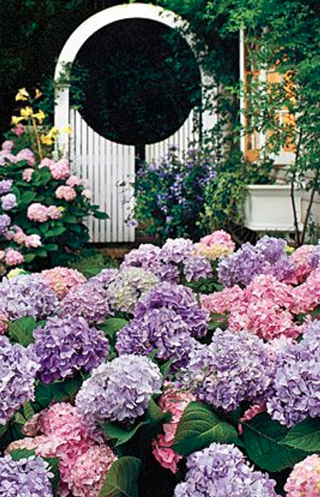 Ernestine Günther Profile Photo