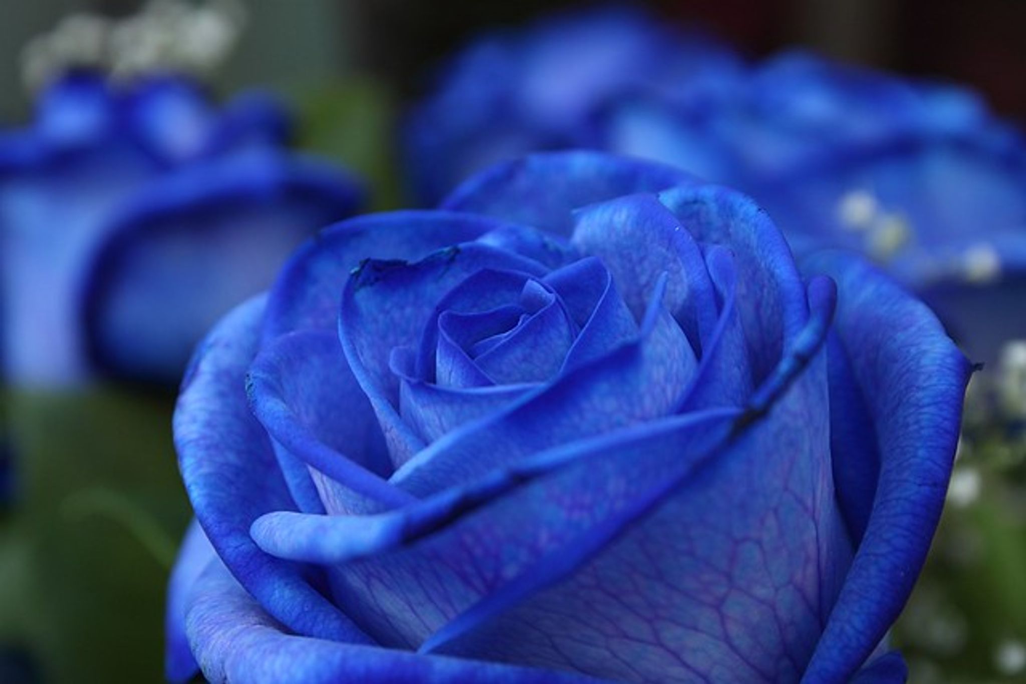 Cover photo for Sidney Ray Fuller's Obituary