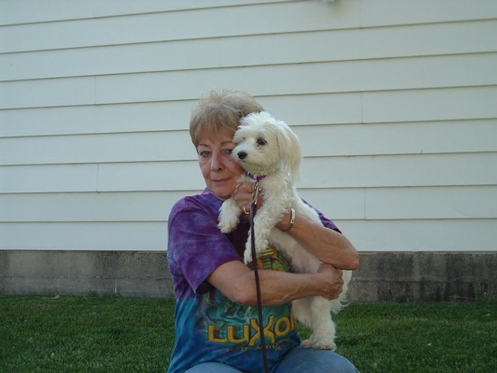 Mary Ann Maro Profile Photo