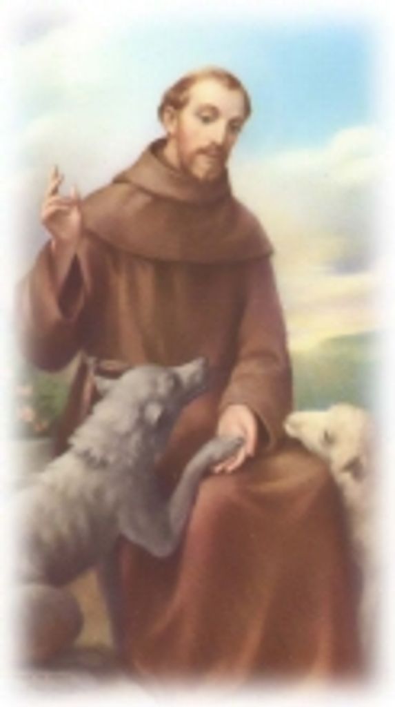 Thomas  Brogan Dulle