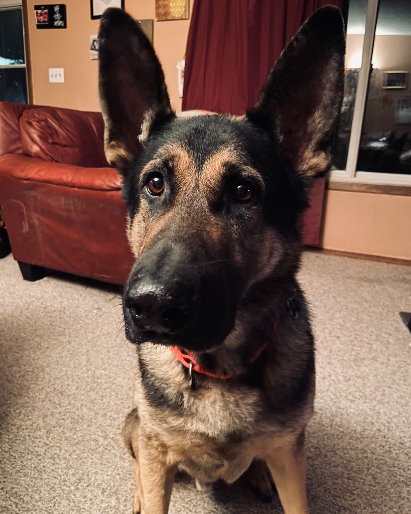 Kona "Bear" Ohl