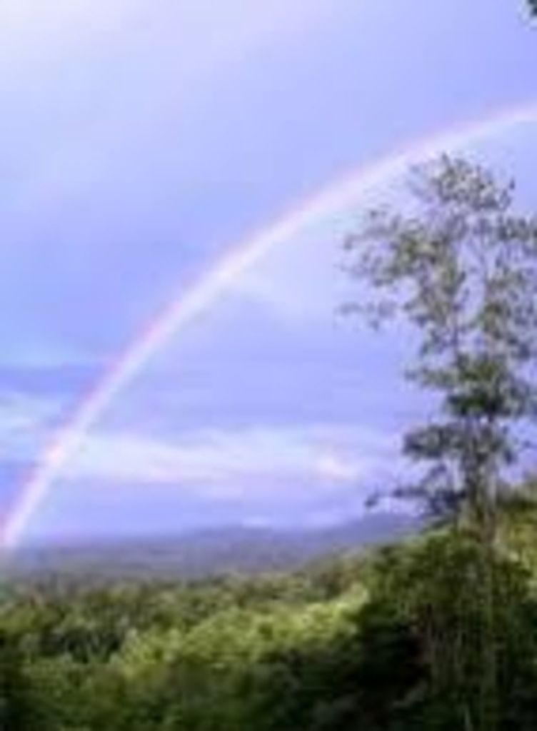 Phyllis J. Seldon (Engel)