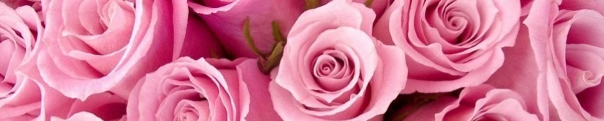 Cover for Evelyn Flesuia Wood Crumbley's Obituary