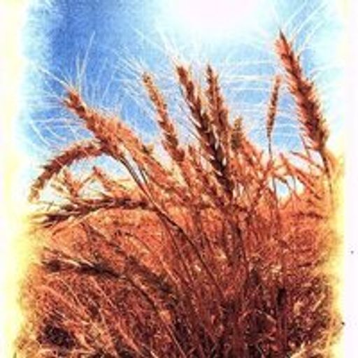 Burleigh (L.B.) Payne Profile Photo