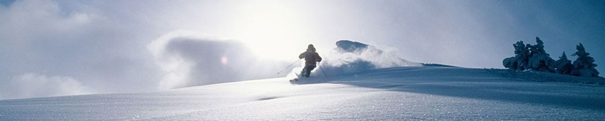 Cover photo for Peter McNiff's Obituary