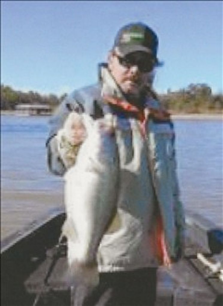 Michael Alan Norman Profile Photo