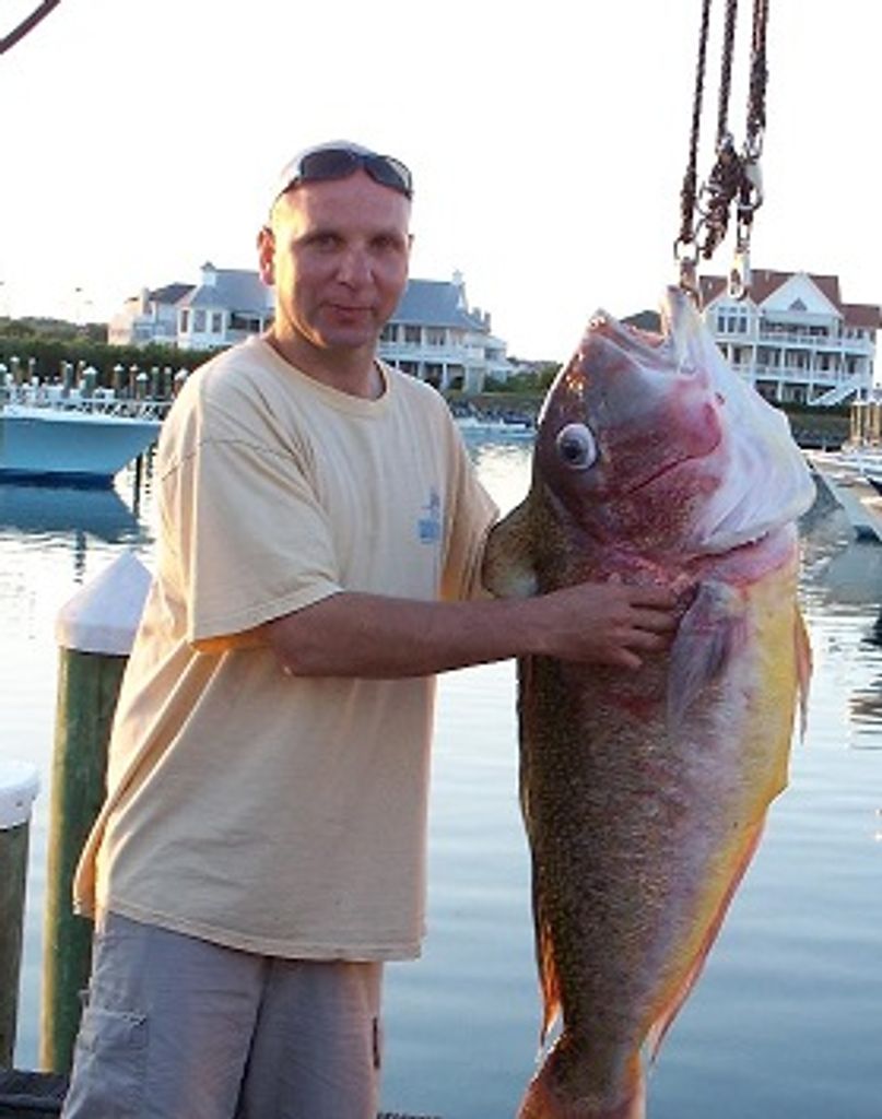 Jimmy Wagner, Ii