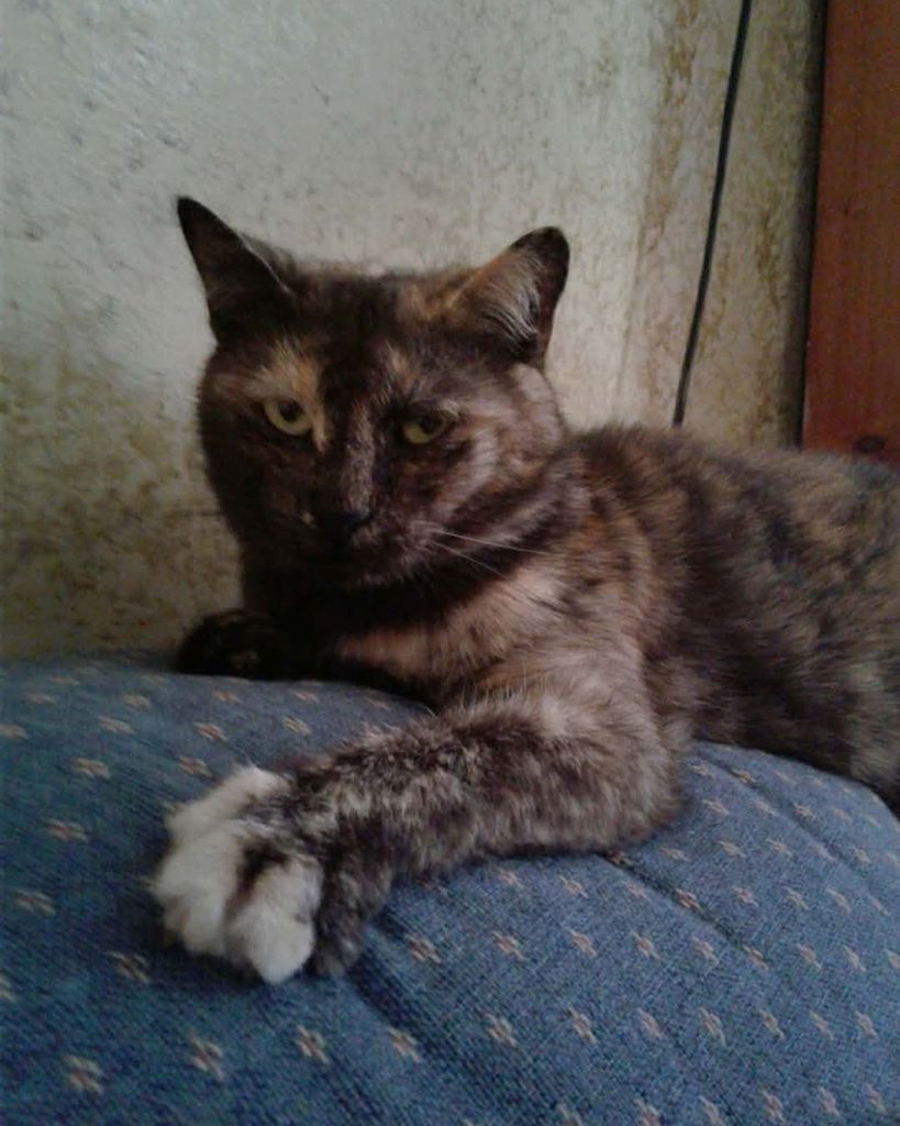 Azalea "Purty Gurt" Thibodeau Profile Photo