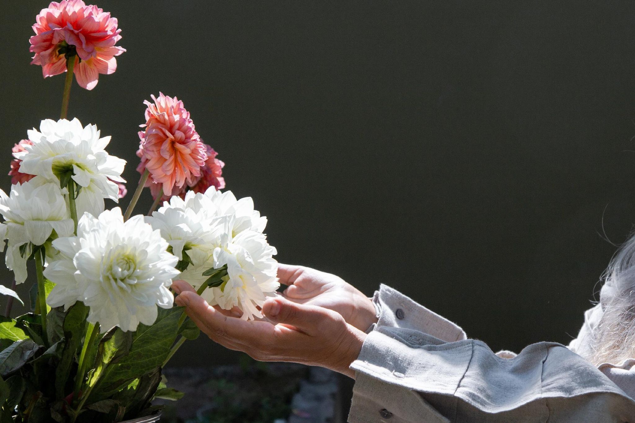 Cover for Astrida Alexandra Taylor's Obituary