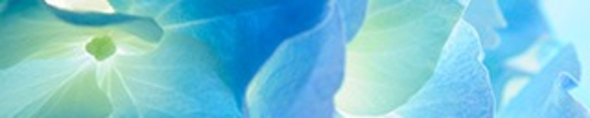 Cover photo for Cornelia "Connie" R. Evans's Obituary