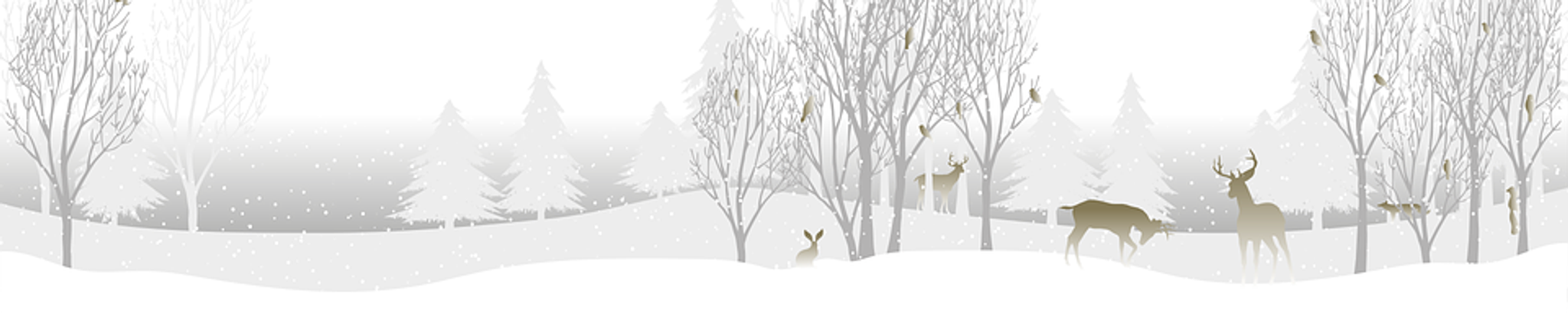 Cover photo for Mary Grove's Obituary