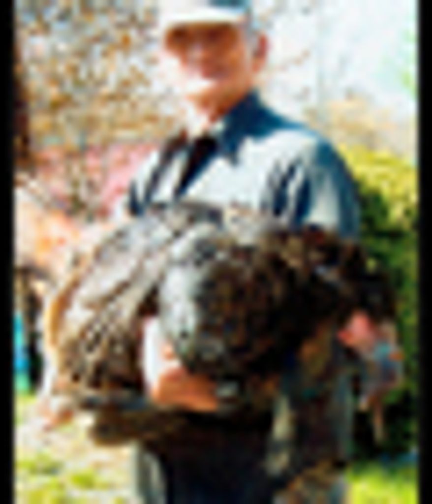 Ernest Foster Profile Photo