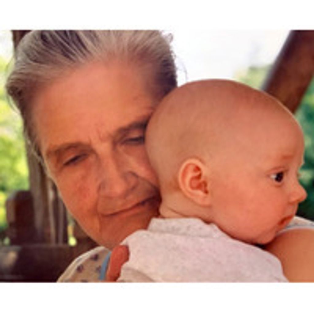Liane V. Dalbec Profile Photo