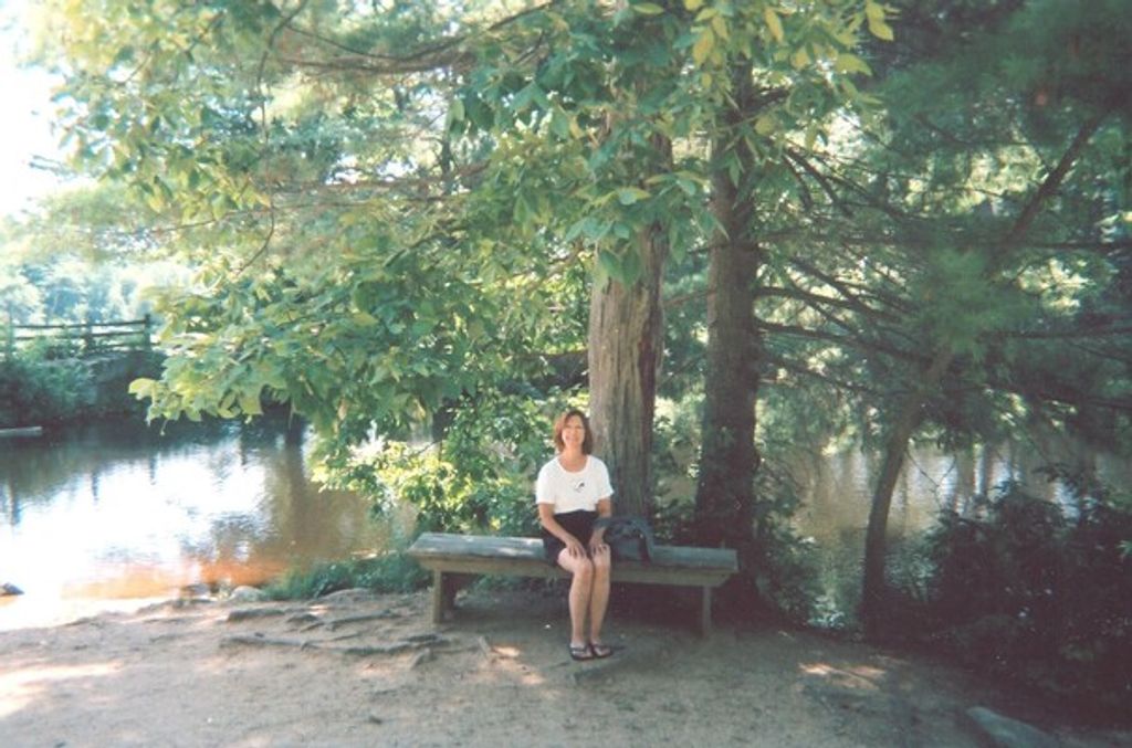 Ellen P. Petter Profile Photo