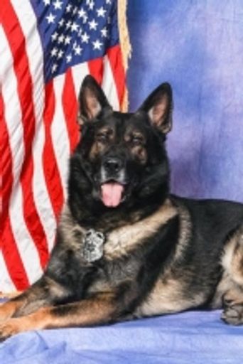 Mpd K-9 Kenny Profile Photo