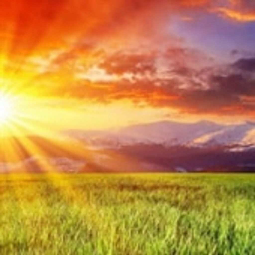 Ricky Wayne Williams