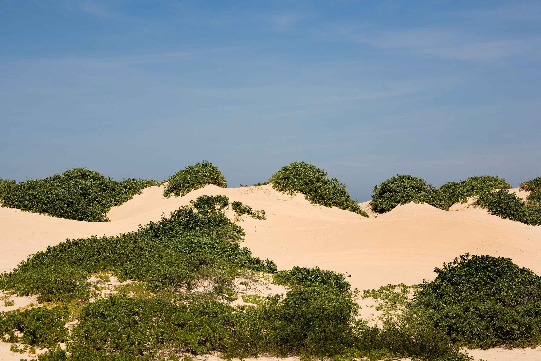 Cover for George Nelson Sands's Obituary