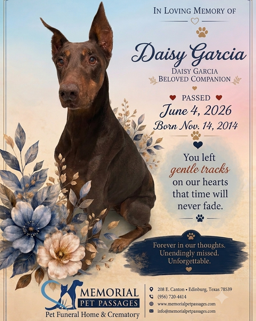 Daisy Garcia Profile Photo