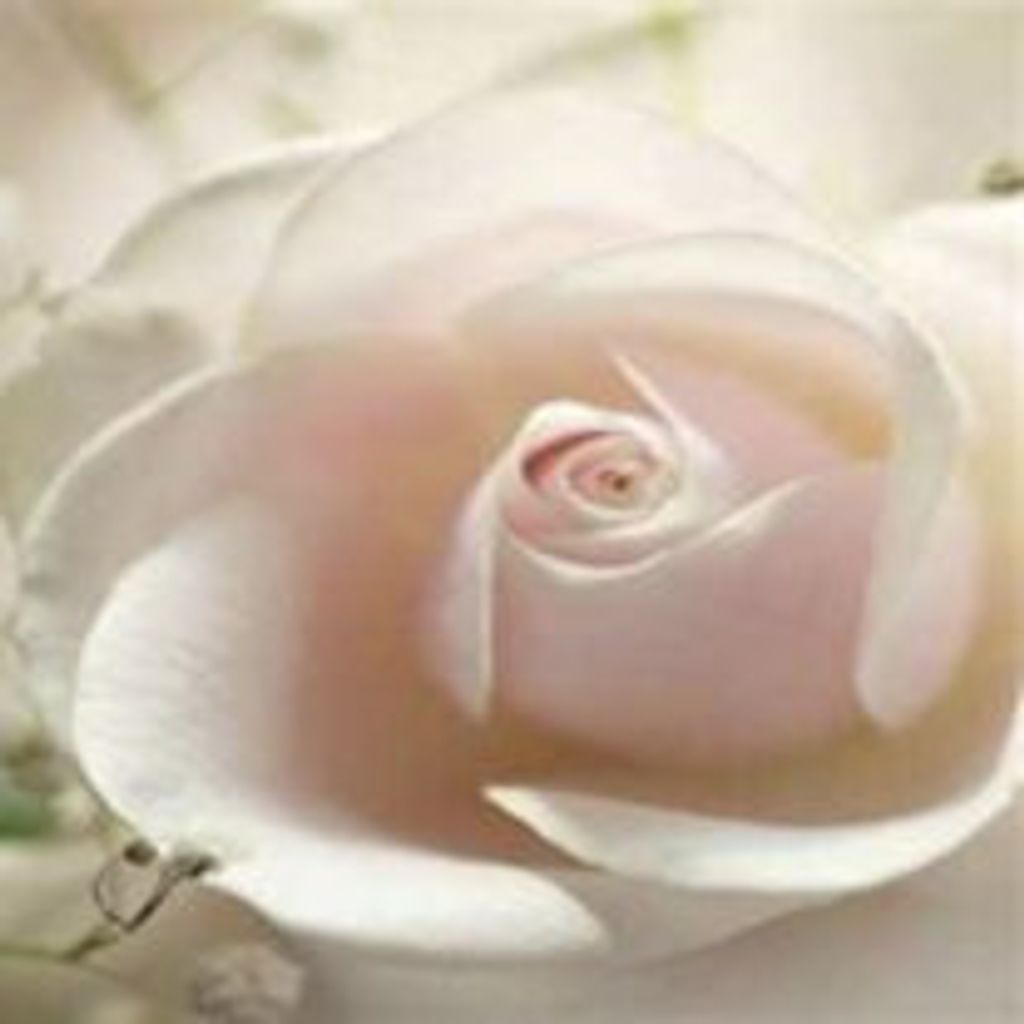 Ruth Roberts Profile Photo
