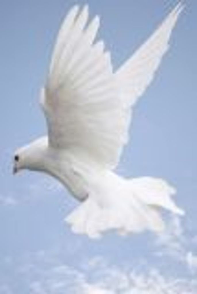 Barbara Braswell Profile Photo