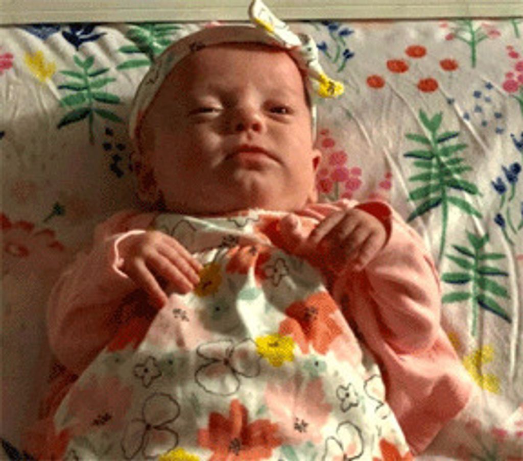 Maribeth Little Profile Photo