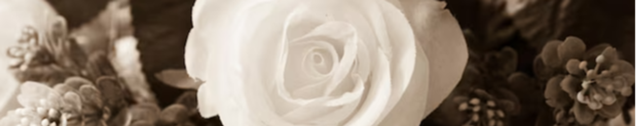 Cover photo for Fillie Gallegos's Obituary
