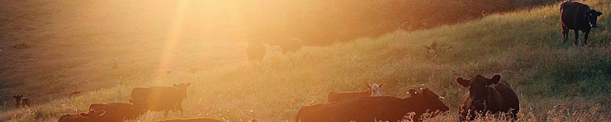 Cover for Bradley James Dorcey's Obituary