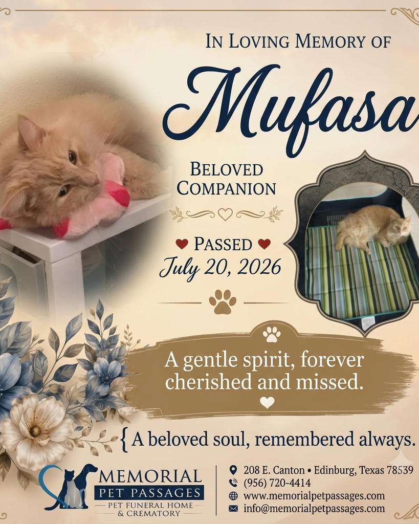 Mufasa Profile Photo