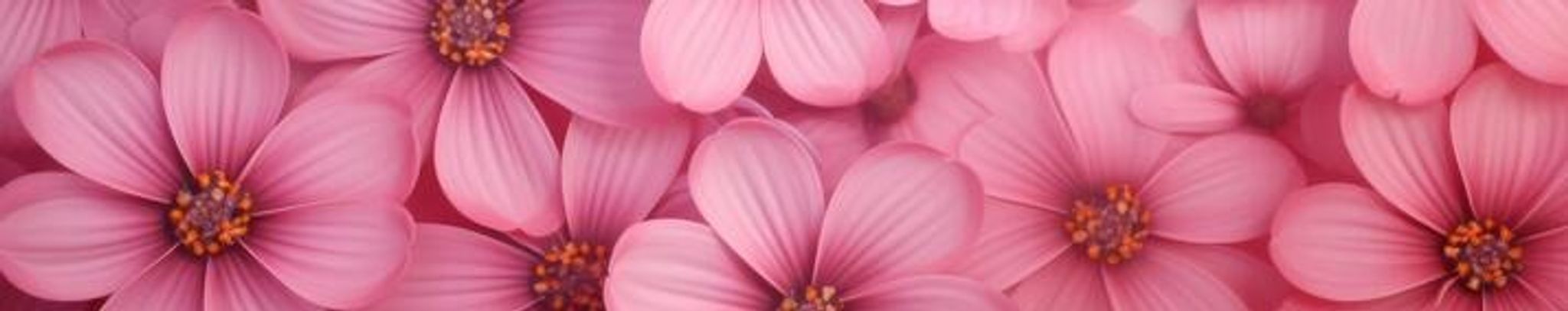 Cover photo for Rafelita Rosina Montoya's Obituary