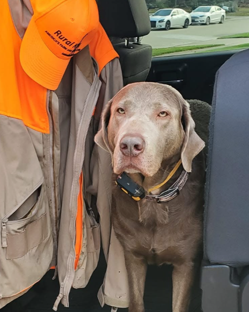 Remi Profile Photo