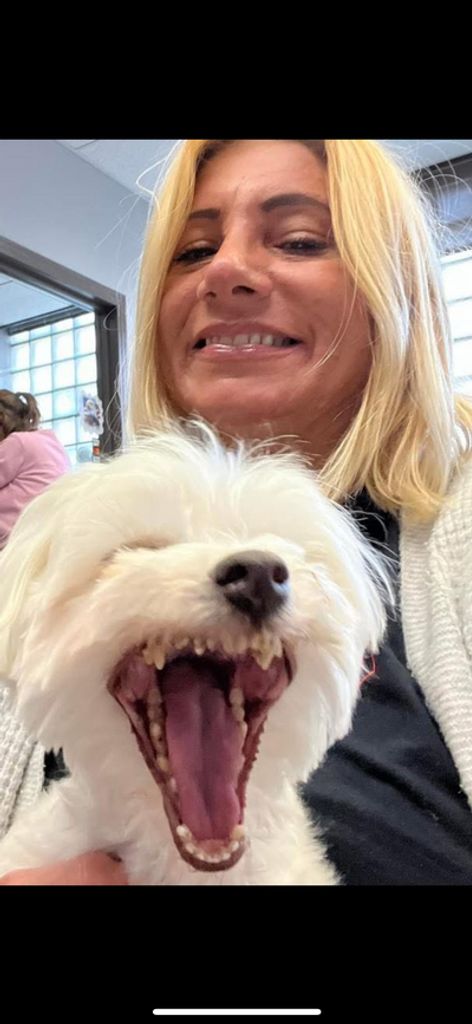 Megan Lorraine Rodecker Profile Photo