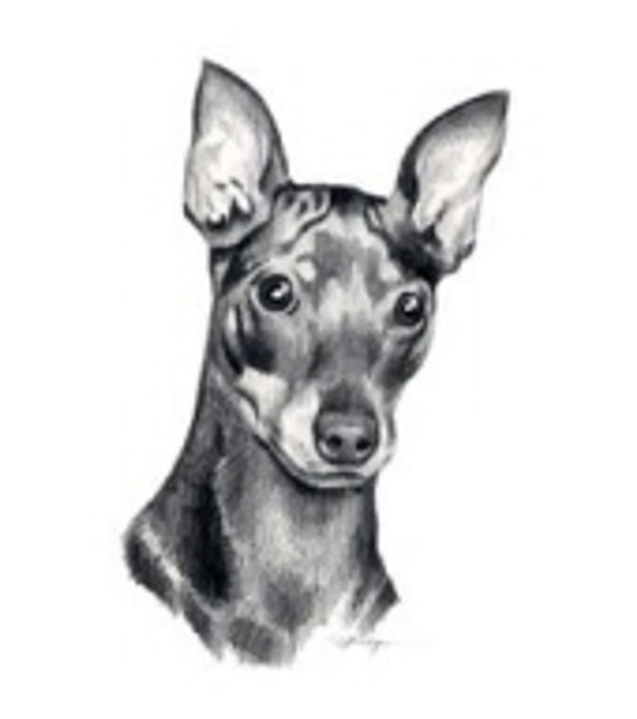 Jake Dibble Profile Photo