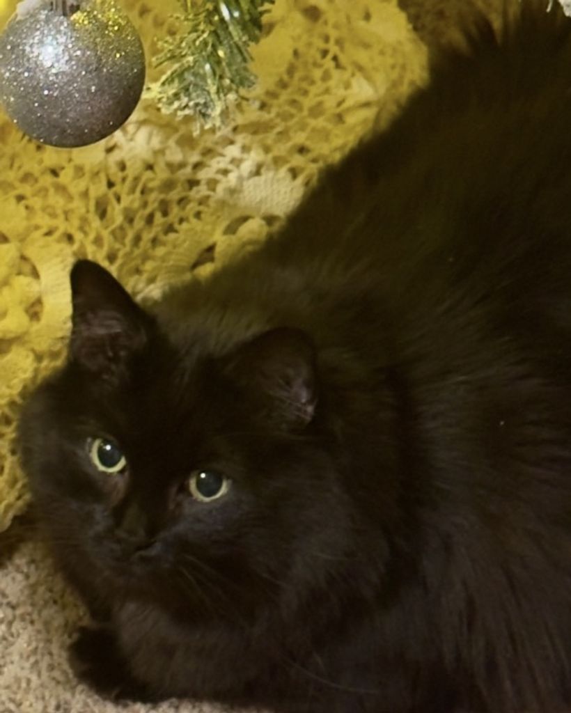 Piper Kelley Profile Photo