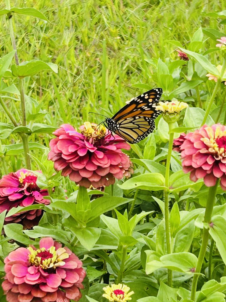 Kathy A. Dillworth Profile Photo