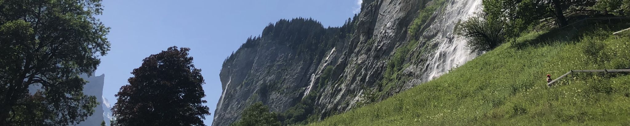 Cover for Bhavna Vaidya's Obituary