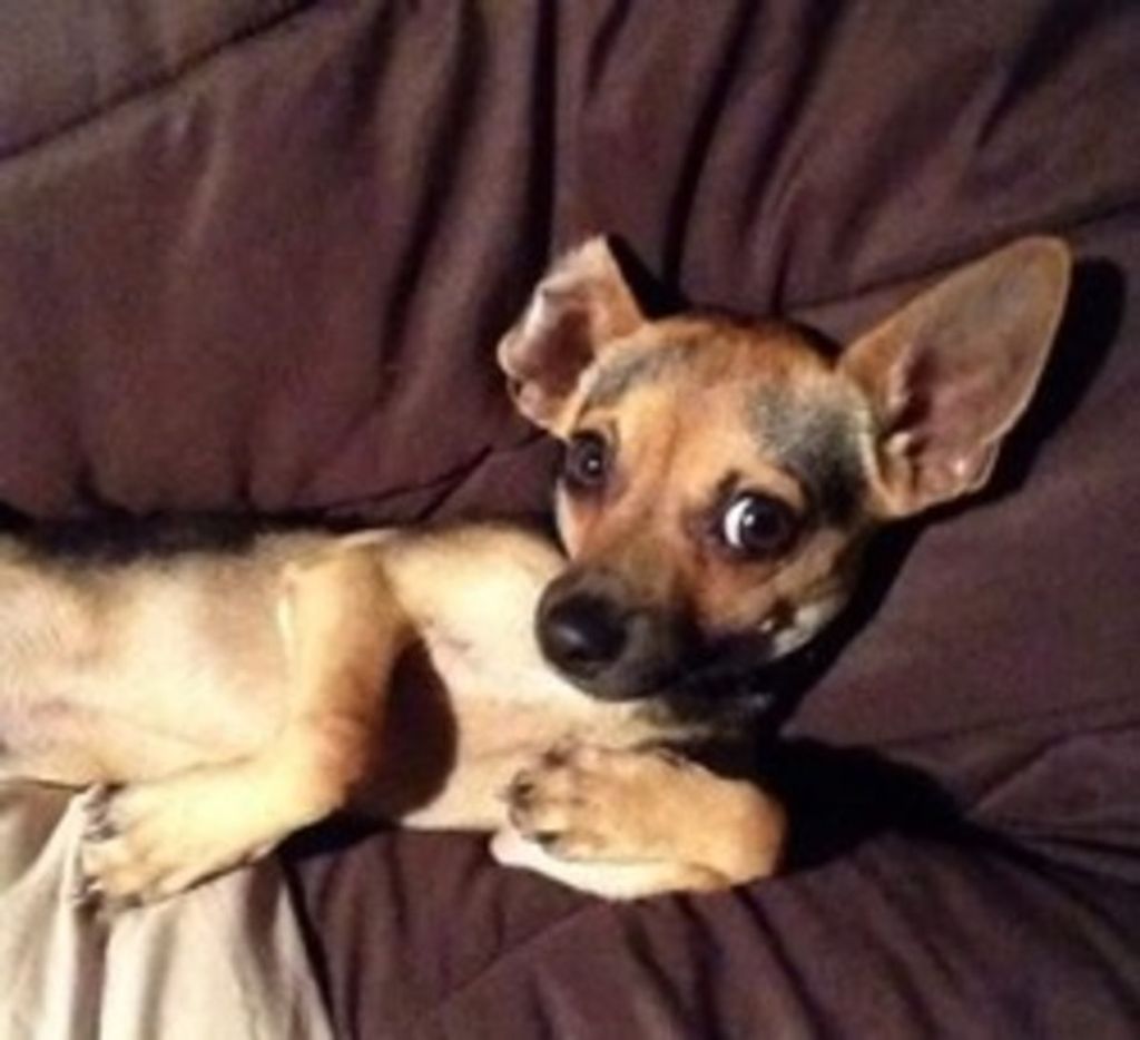 Rosco Keran Profile Photo