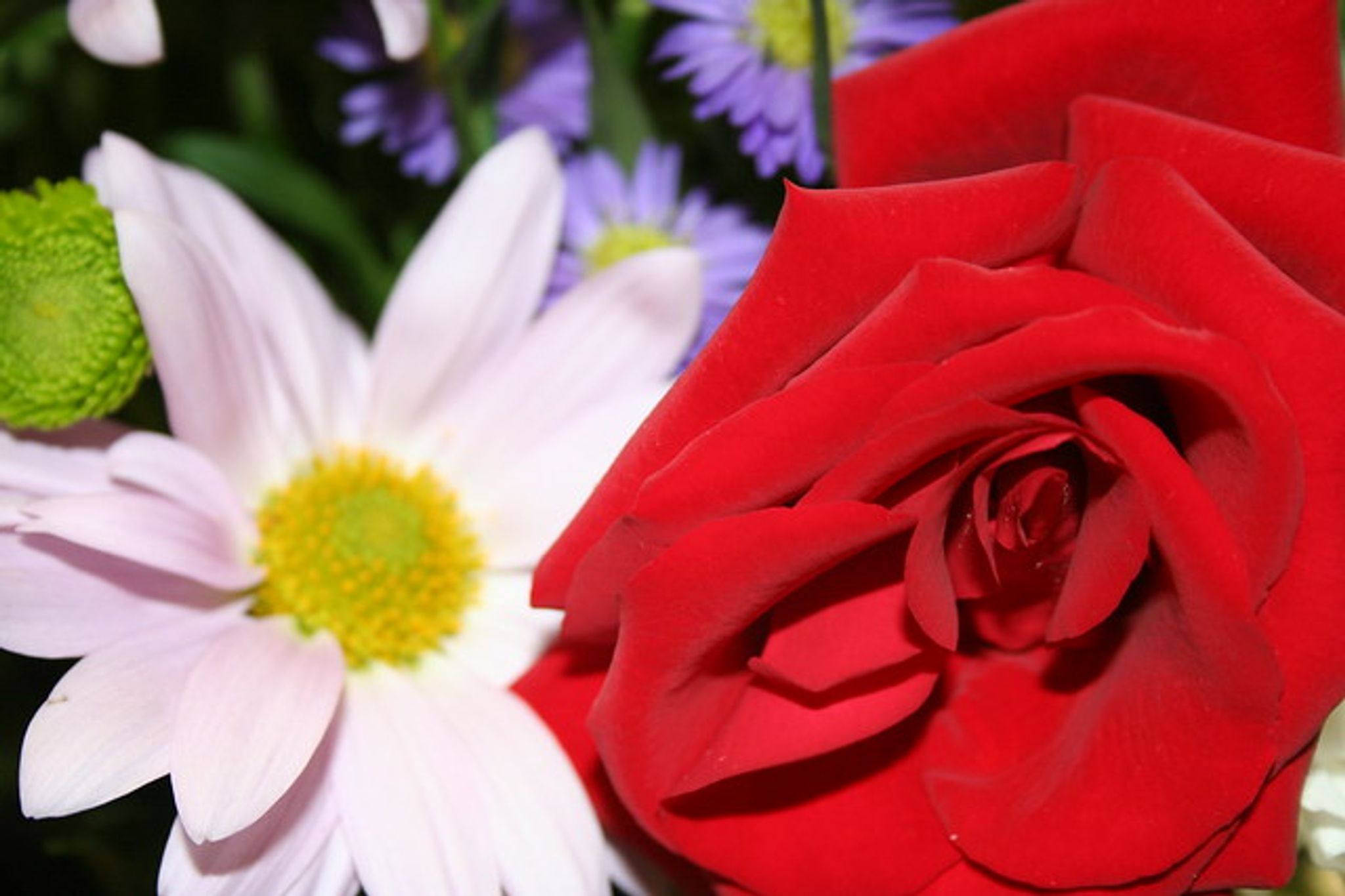 Cover photo for Patricia (Hasson) King's Obituary