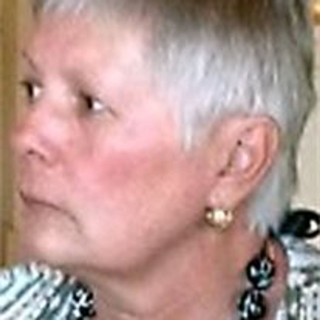 Diane Beth Will