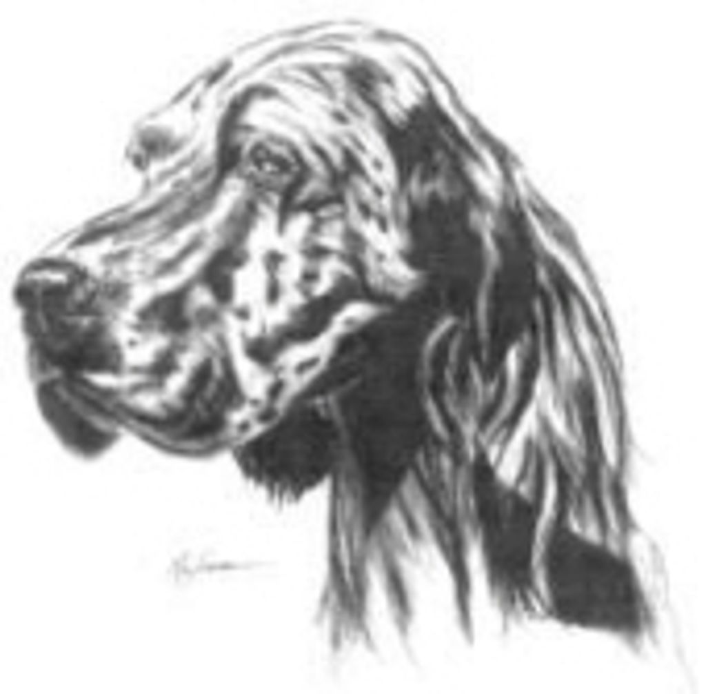 Ember Madden Profile Photo