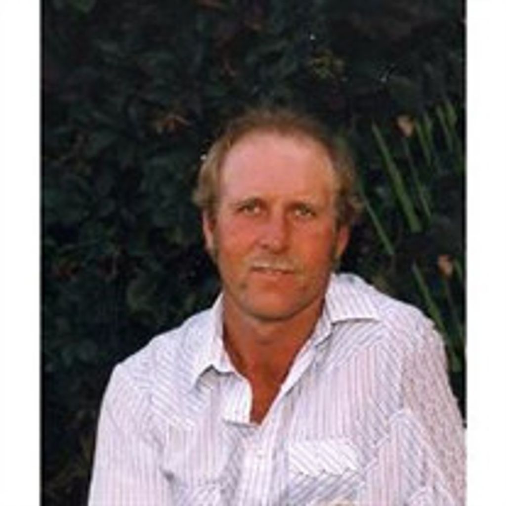 Lynn Stephan Misrasi