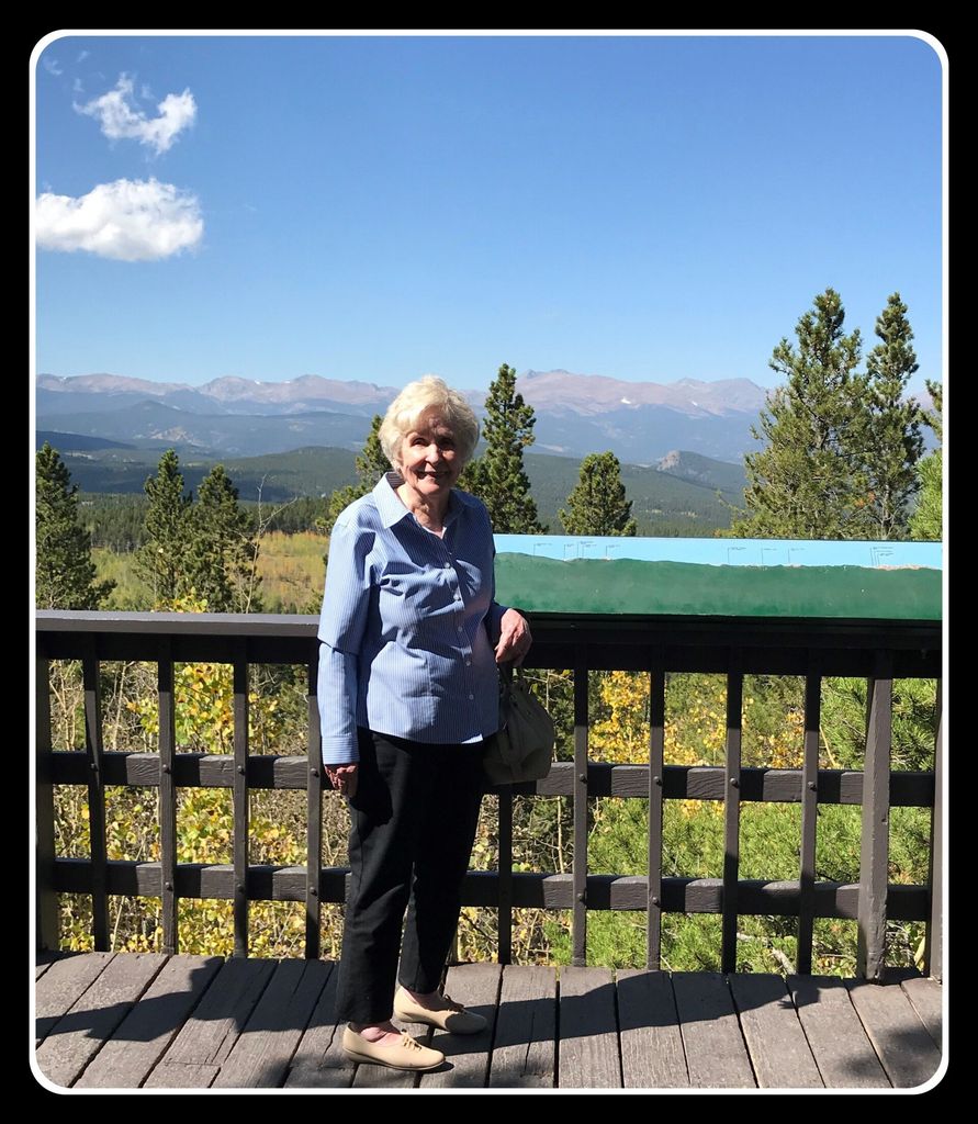 Sue T. Davidson