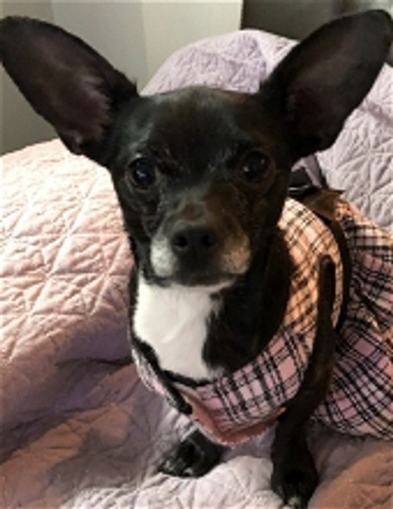Darla Mae Hall