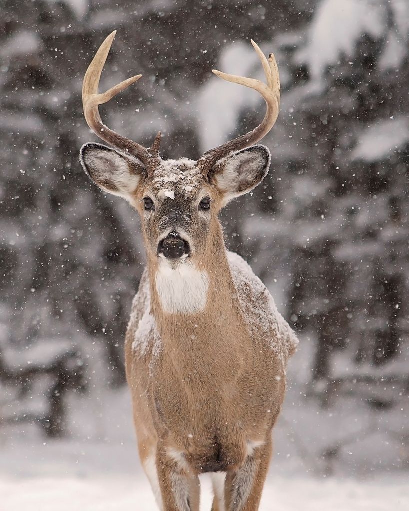 James Alden "Jim" Nunley, Sr. Profile Photo