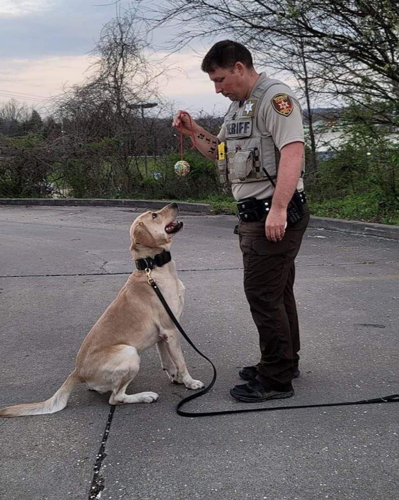 K-9 Deputy Finn Winder Profile Photo