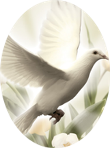 Carol  Elaine Zavitz Profile Photo