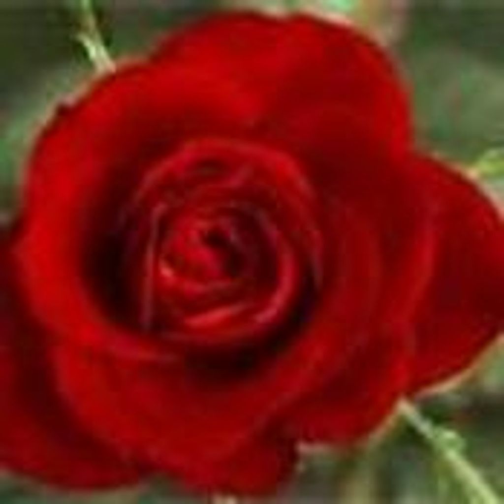 Mary Kislus