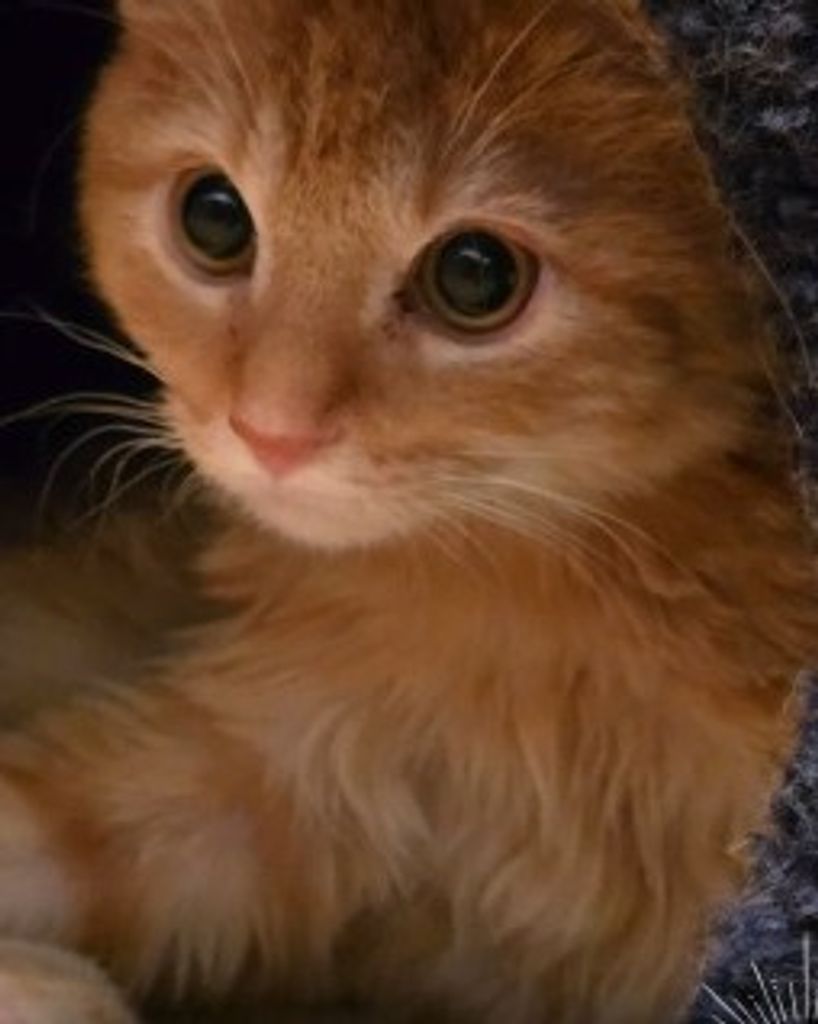 Burrow Potter Profile Photo