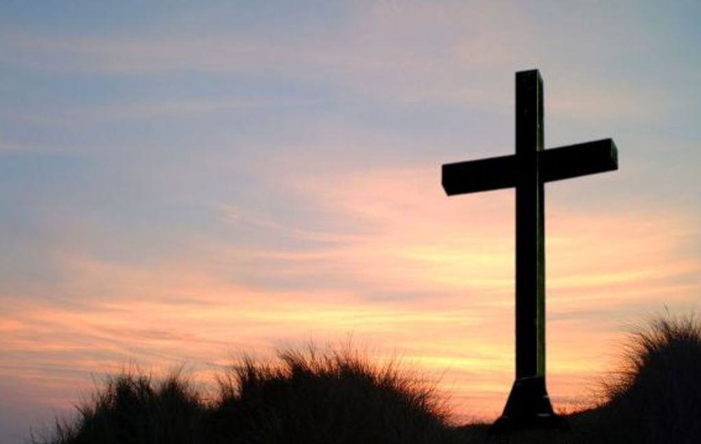 Barbara Ann (Fields)  Radford