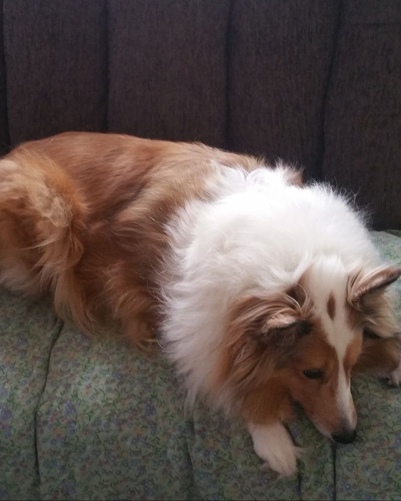 "Taffy" Clark Profile Photo